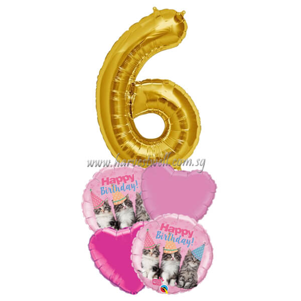 Adorable Cat Party Birthday Age Balloon Package